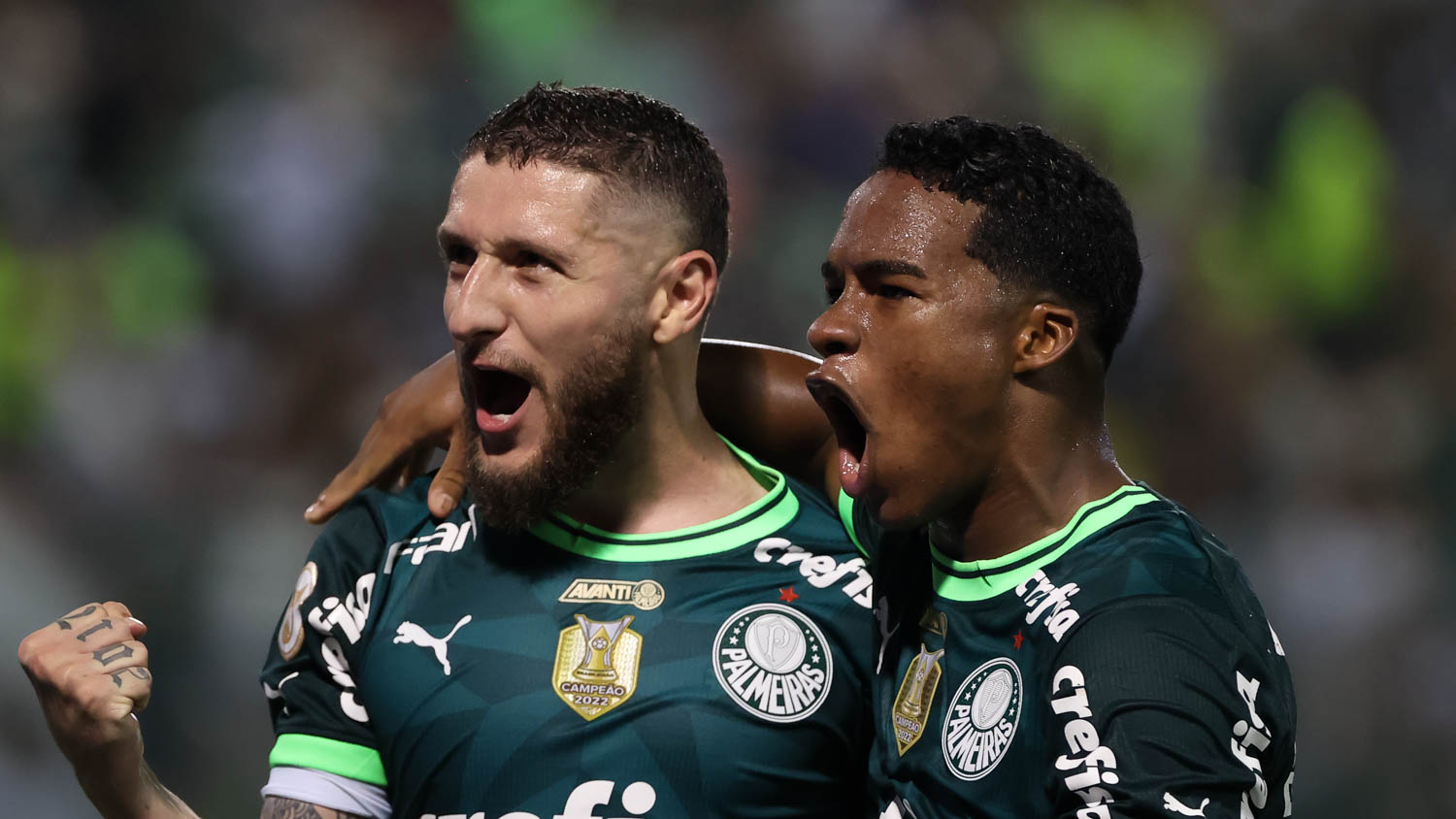 Palmeiras: 24 vezes campeão paulista com introdução de