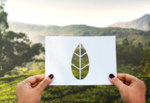 Vetos à Lei Geral do Licenciamento Ambiental serão votados hoje (27)