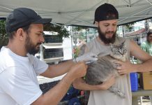 Vacinação antirrábica chega à Ilha da Gipoia, em Angra dos Reis