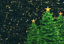 Sesc vai inaugurar árvore de Natal no Parque Mambucaba, em Angra