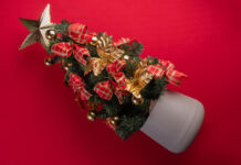 PCDs de Angra inscritos no CadÚnico ganharão cartão-alimentação no Natal