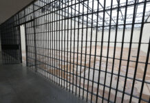 Papuda via Alerj: ex-deputado TH Joias cumpre regime diferenciado