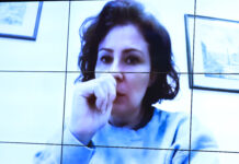 Reviravoltas na câmara: cassações de Glauber e Zambelli são rejeitadas