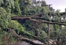Minas Gerais contabiliza 37 mortos por conta das chuvas
