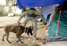 Operação “Ilha Segura” combate o tráfico de drogas na Vila do Abraão