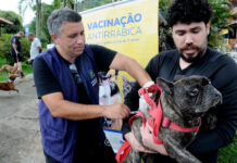 Campanha de vacinação antirrábica desembarca na Ilha Grande, em Angra