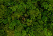 Modernização de licenciamento do IMAAR mira em mais agilidade