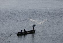 Seguro-defeso: novo lote será disponibilizado na terça-feira (24)