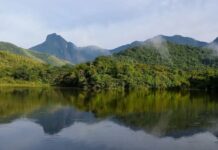 Não há sinais de melhora de qualidade nos rios da Mata Atlântica, diz estudo