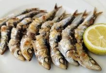 Angra dos Reis recebe hoje (14) a 2ª Festa da Sardinha