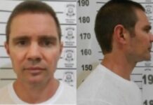 Delação à vista: Vorcaro é transferido para PF de Brasília