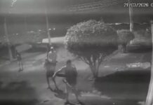 Agressão a capivara resulta em prisões no Rio